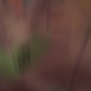 Meet your Posher, Jaleesa